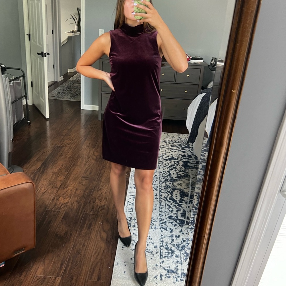 Plum Velvet Dress